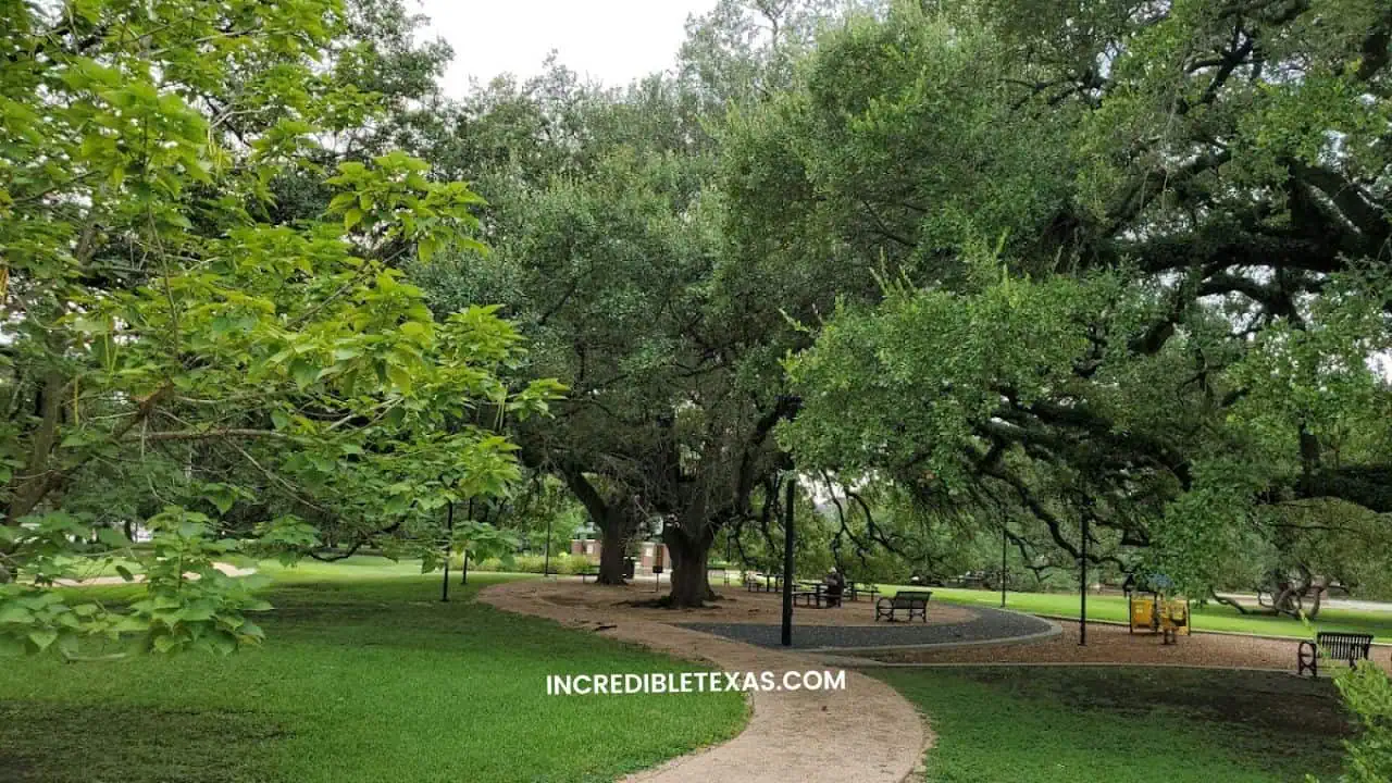 Elizabeth Baldwin Park Houston