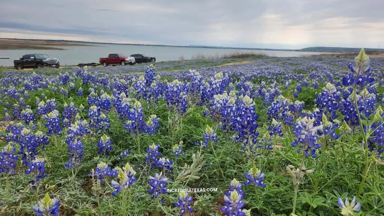 Lake Buchanan Texas