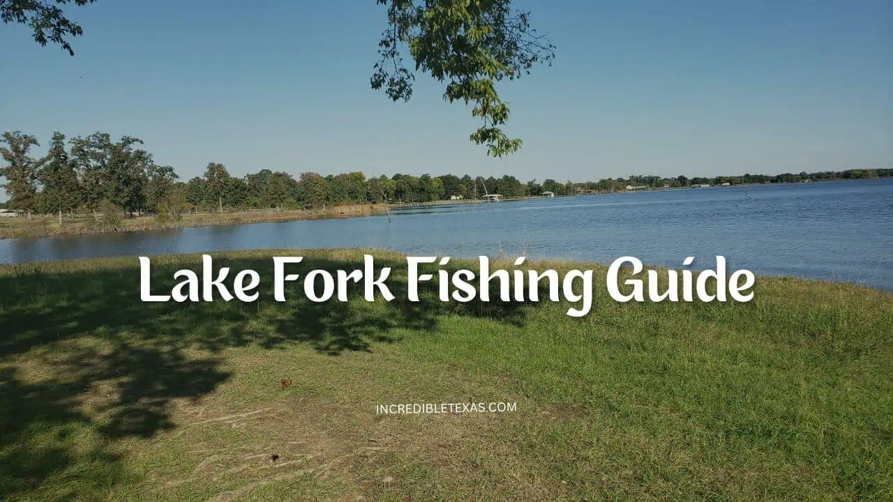 Lake Fork Fishing Guide