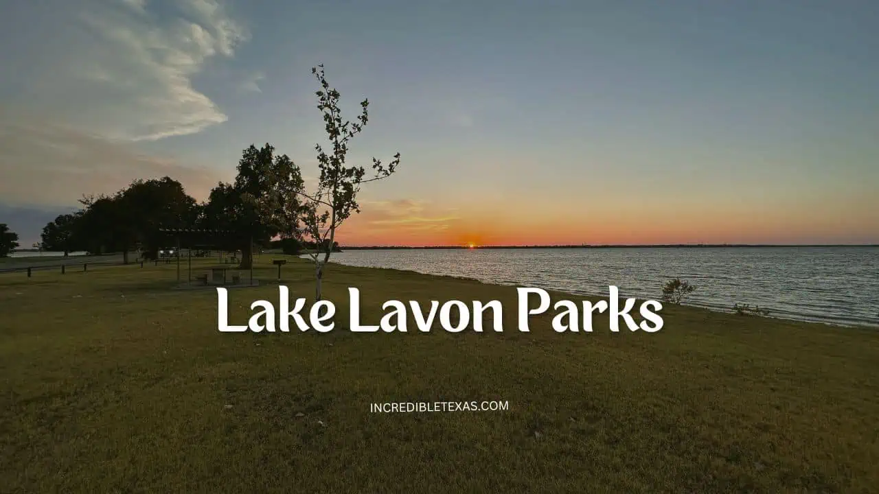 Lake Lavon Parks