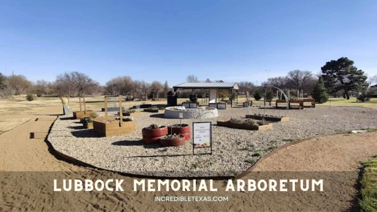 Lubbock Memorial Arboretum Lubbock TX