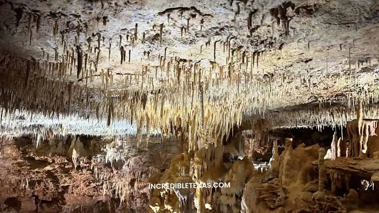 Natural Bridge Caverns New Braunfels TX