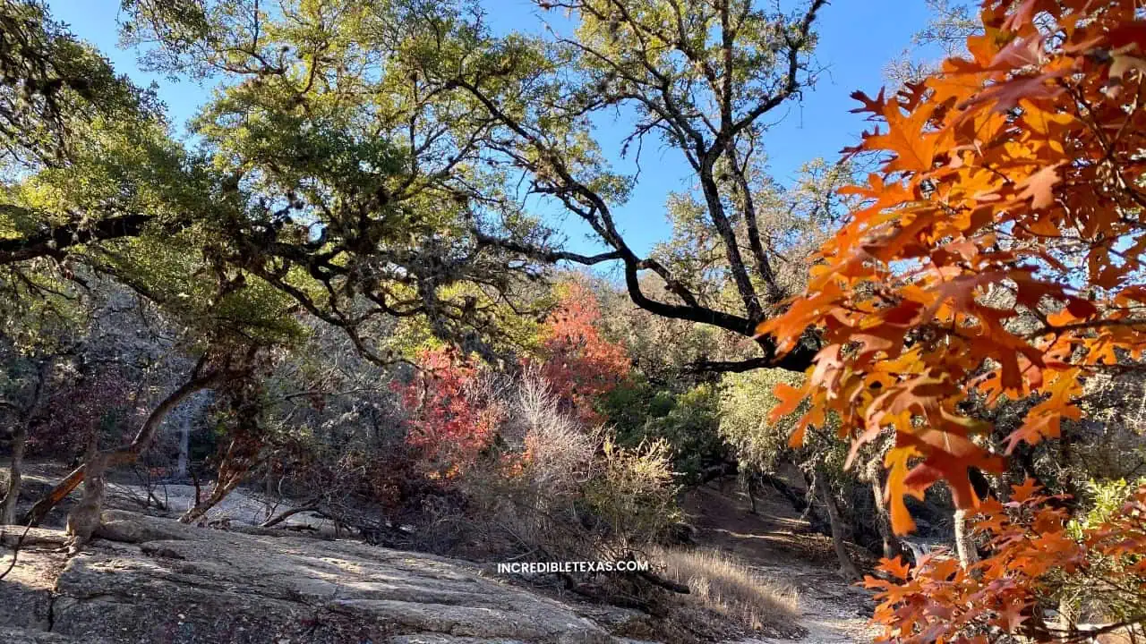 O. P. Schnabel Park San Antonio