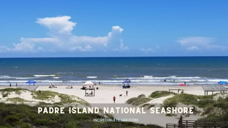 Padre Island National Seashore Texas