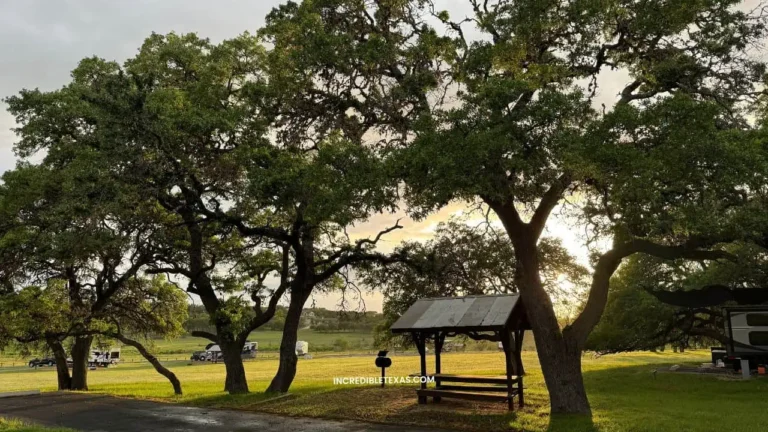 Potters Creek Park Canyon Lake