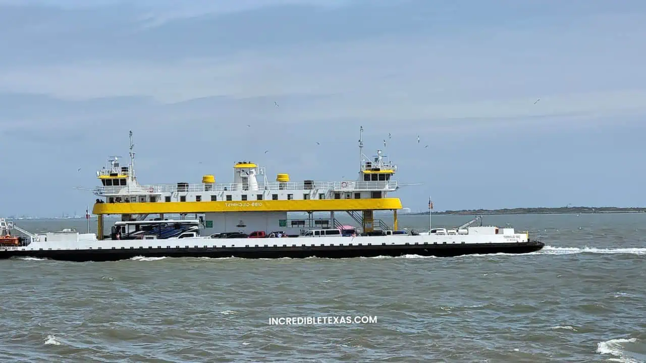 Galveston to Port Bolivar Ferry Experience