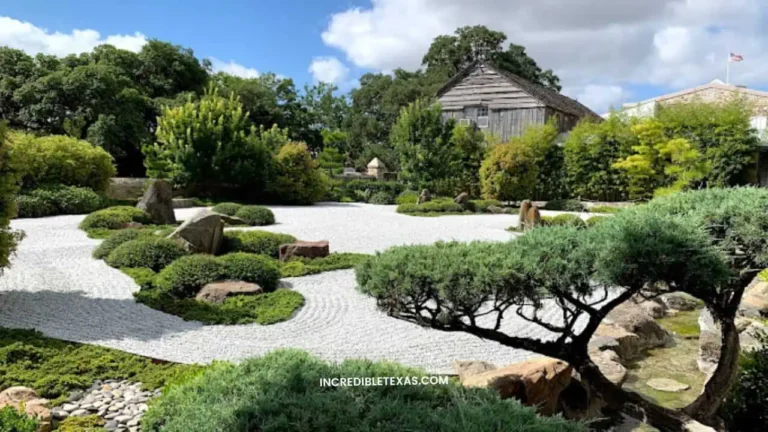 Japanese Garden of Peace