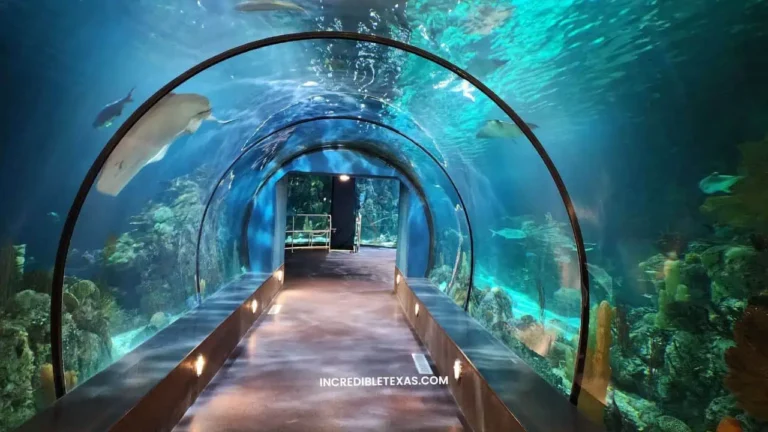 Moody Gardens Galveston TX