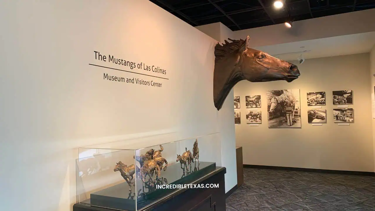 Mustang Museum Irving Texas