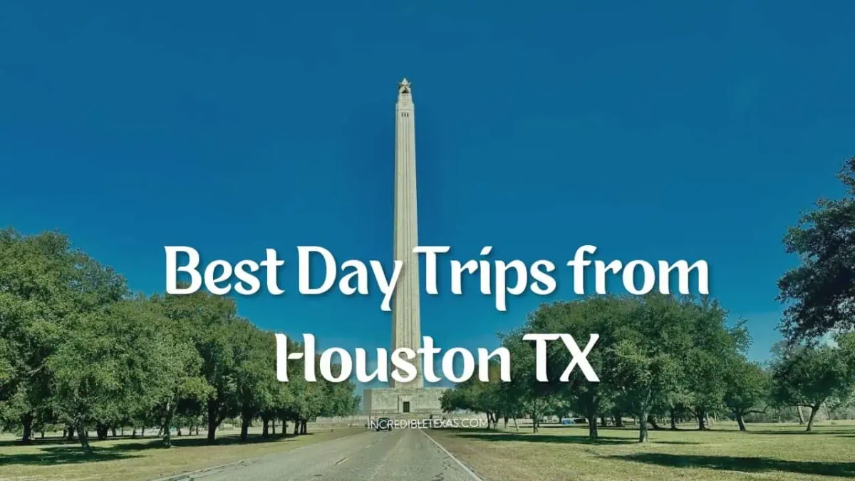 Best Day Trips from Houston TX With Kids