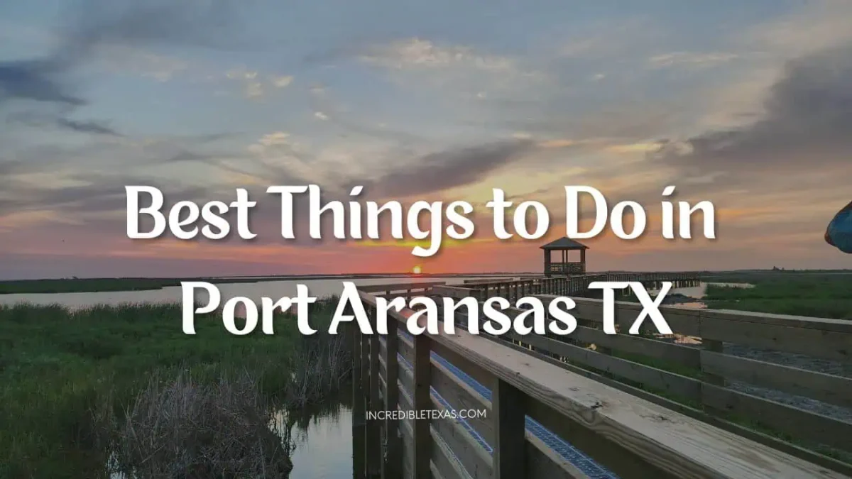 Best Things to Do in Port Aransas TX