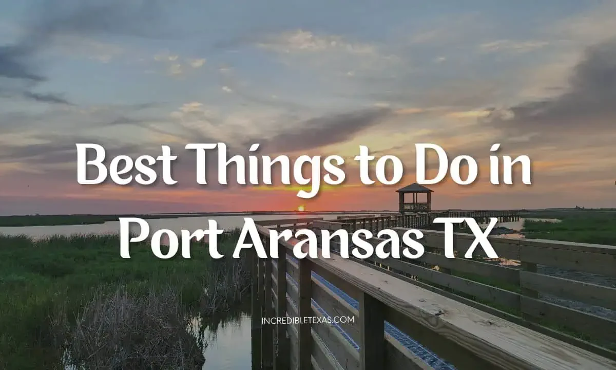 Best Things to Do in Port Aransas TX