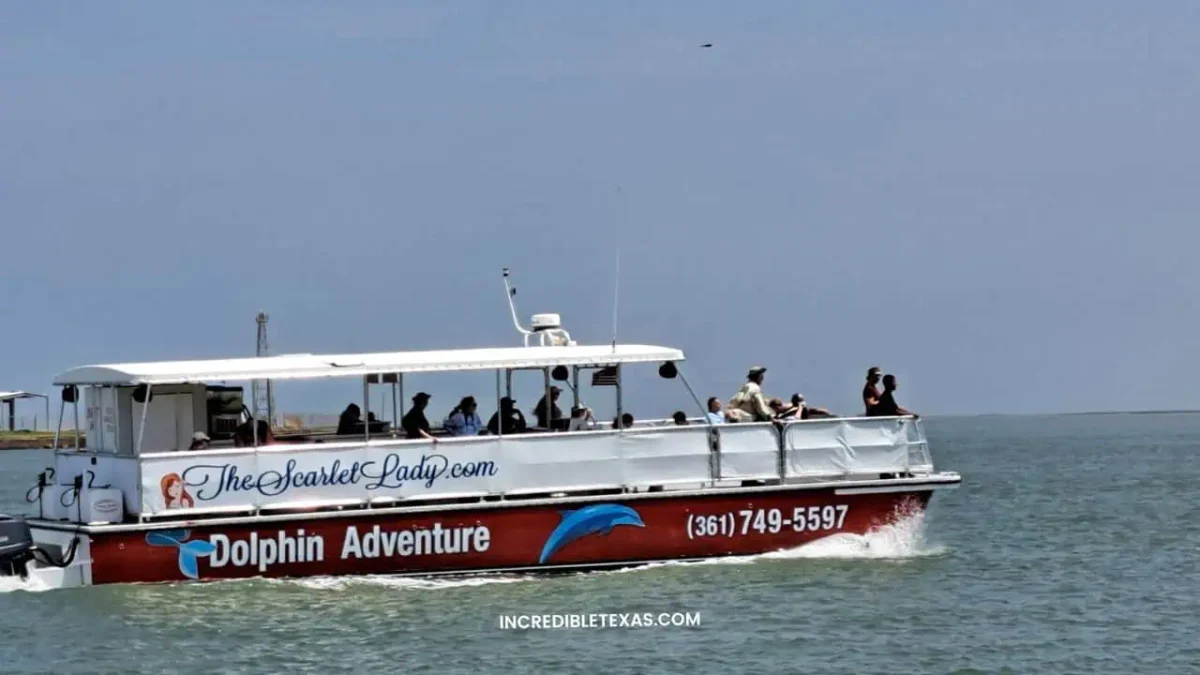 Dolphin Watching Cruise in Port Aransas