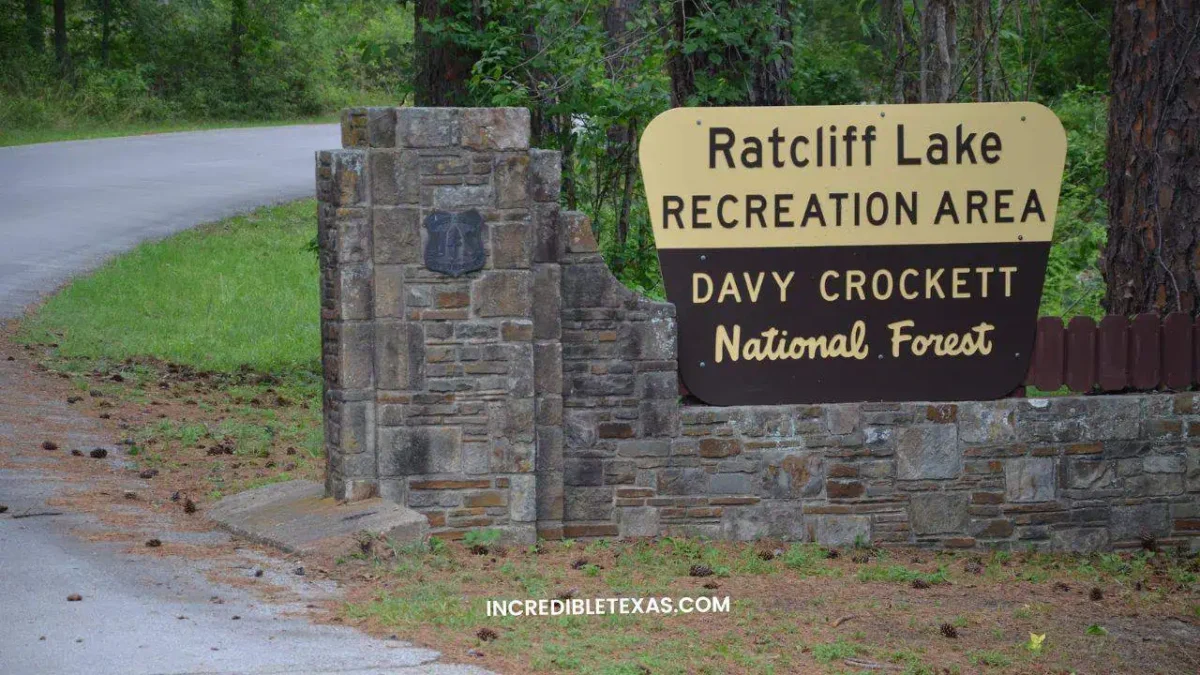 Davy Crockett National Forest - Hidden Gems in East Texas