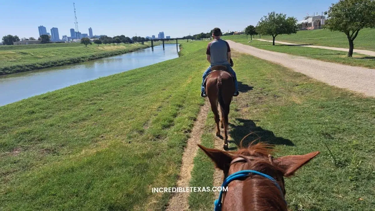 Horseback Riding on the Chisholm Trail - Best Things to do in Fort Worth Stockyards