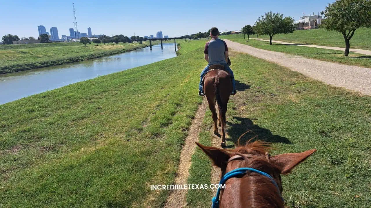 Heritage horseback riding near the Fort Worth Stockyards, reflecting the city's Cowtown history.