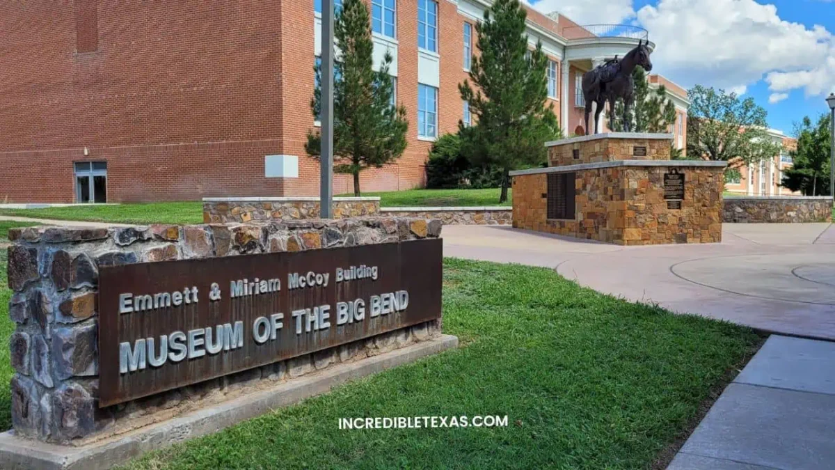 Museum of the Big Bend - Best Things to do in West Texas