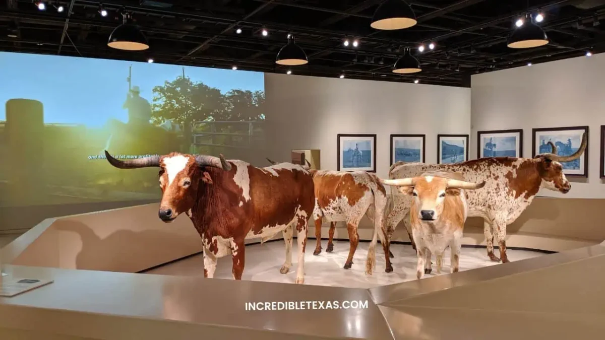 National Cowgirl Museum and Hall of Fame - Best Things to do in Fort Worth Stockyards