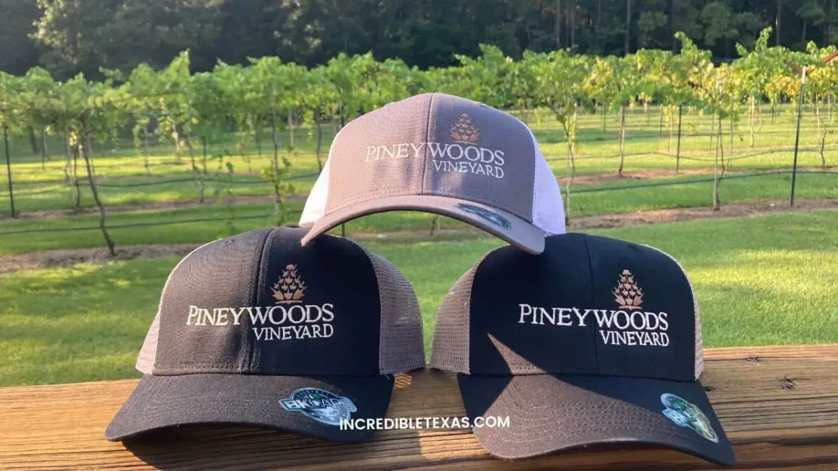 Piney Woods Wine Trail - Hidden Gems in East Texas