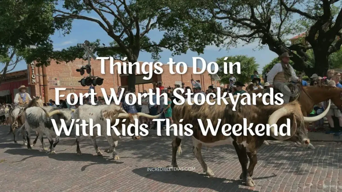 Ultimate Things to Do in Fort Worth Stockyards With Kids This Weekend