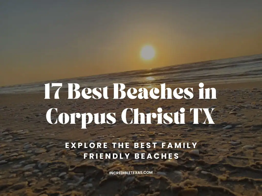 Best Beaches in Corpus Christi TX