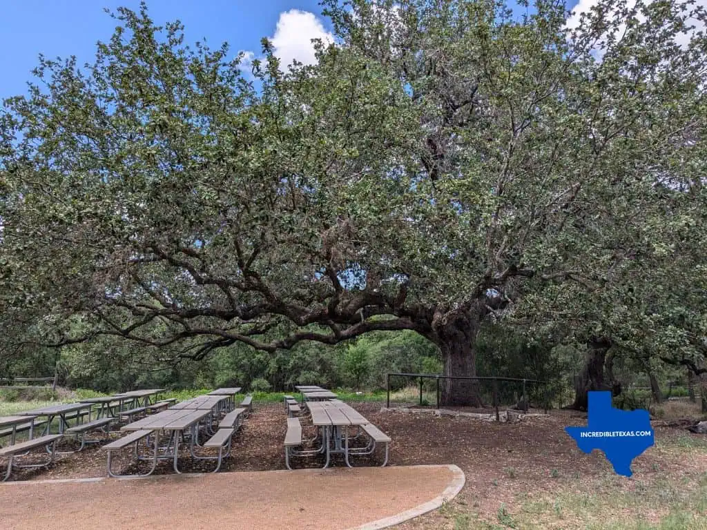 Austin Nature & Science Center - Fun Activities in Austin for Adults