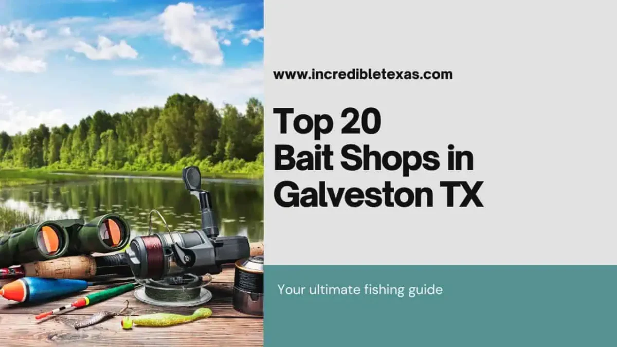 Best Bait Shops in Galveston TX