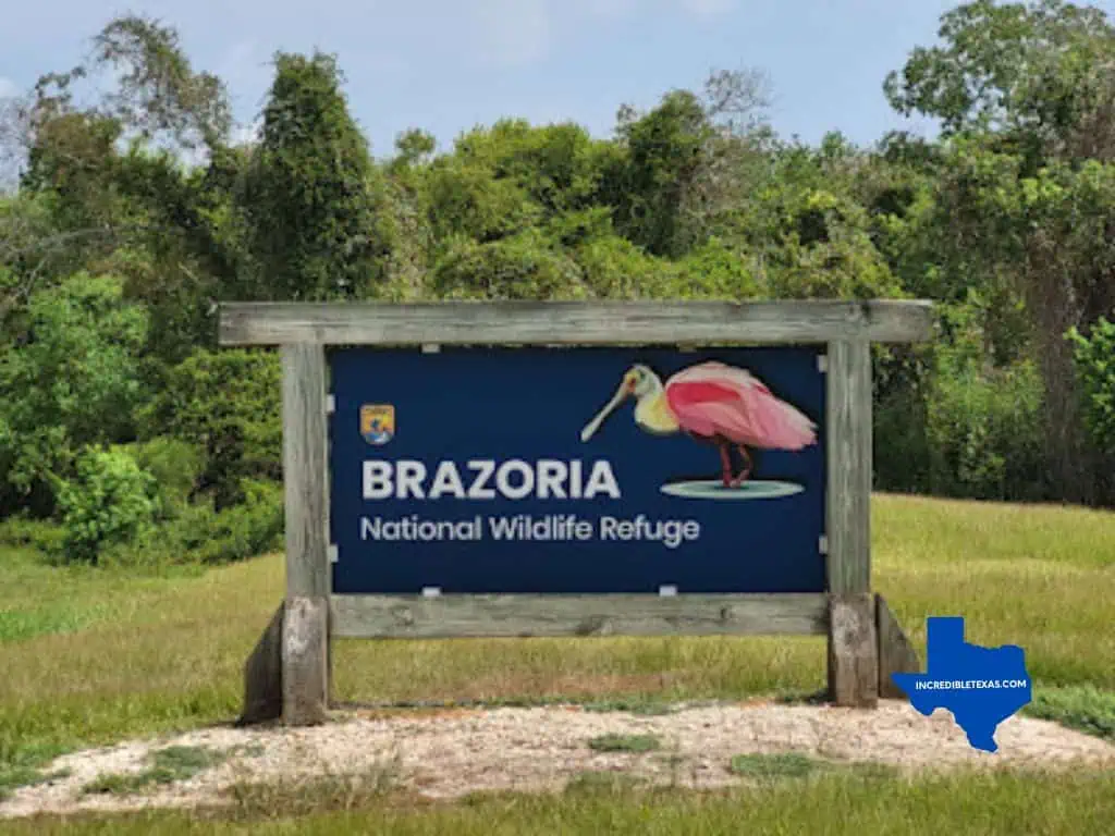 Brazoria National Wildlife Refuge Freeport TX - Best Things to do in Freeport Texas This Weekend With Kids