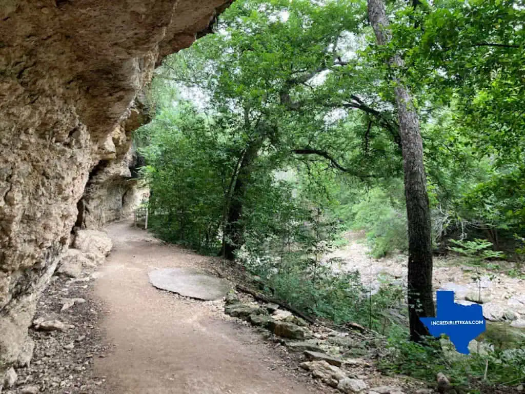 Shoal Creek Greenbelt Austin TX - Fun Activities in Austin for Adults