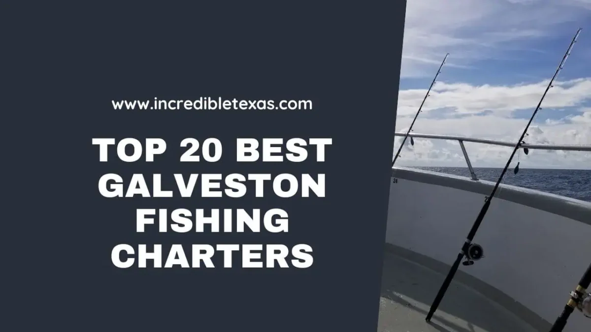 Top 20 Best Galveston Fishing Charters for Deep Sea Fishing