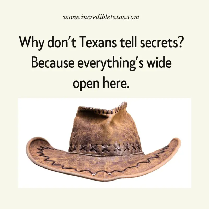 The Ultimate Collection Of 200 Hilarious Texas Jokes And Puns ...