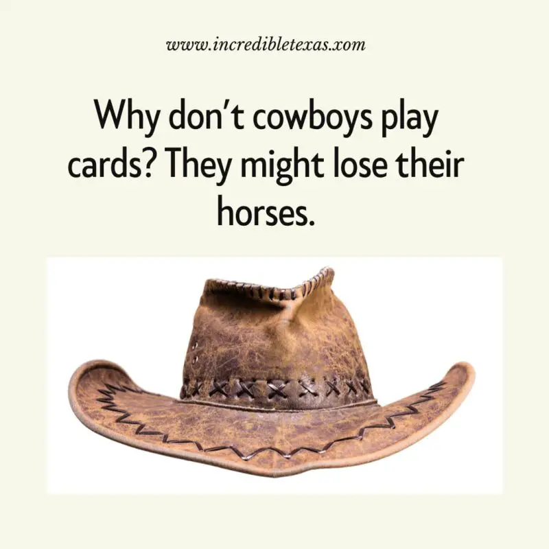 Howdy Partner! Cowboy Jokes You’ll Love