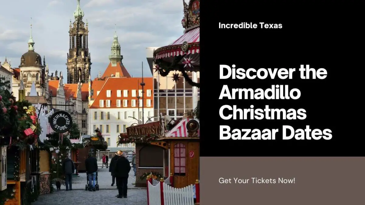 Armadillo Christmas Bazaar 2024 Dates, Location, Tickets & Vendor Details