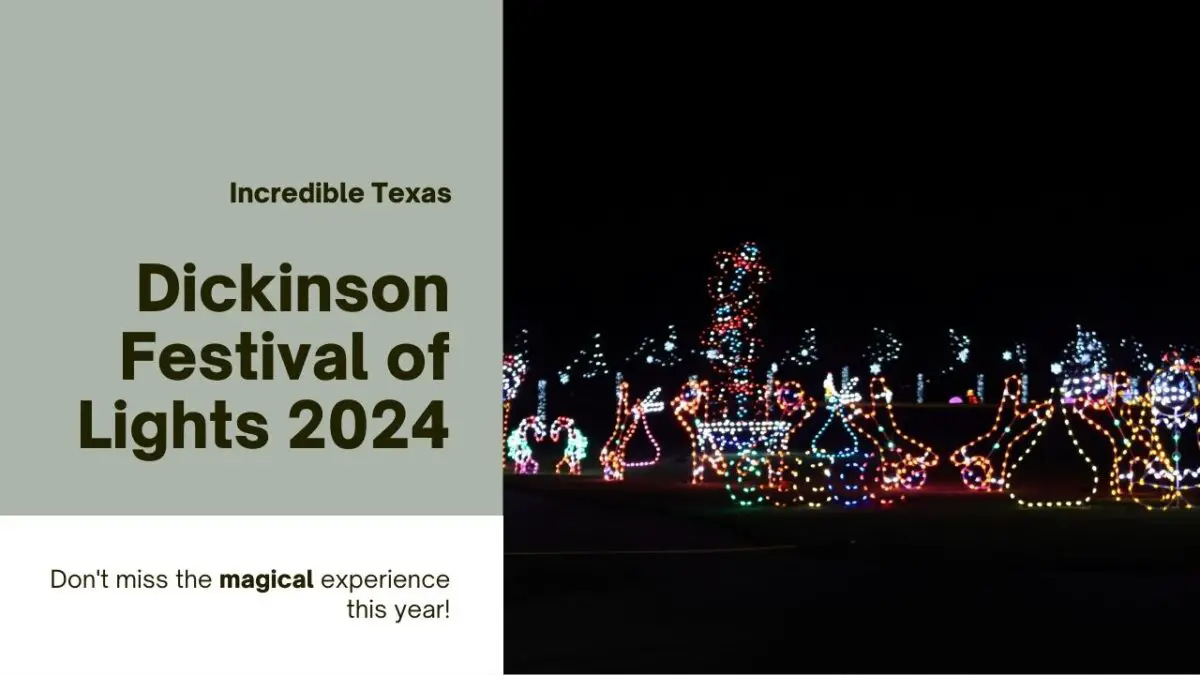 Dickinson Festival of Lights 2024 Dates, Hours, Parking and Reviews