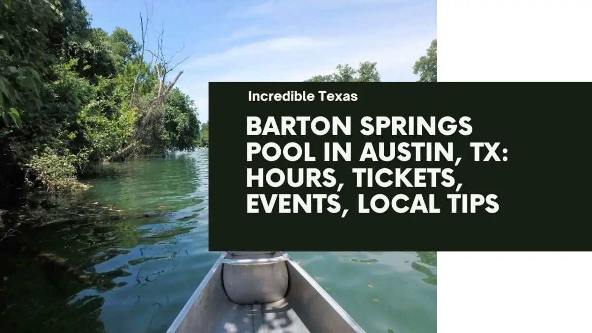 Barton Springs Pool in Austin, TX Hours, Tickets, Events, Local Tips