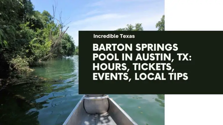 Barton Springs Pool in Austin, TX Hours, Tickets, Events, Local Tips