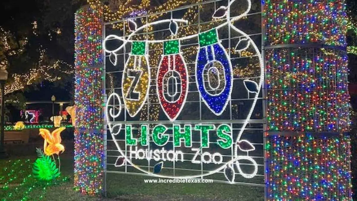 Houston Zoo Lights - best Christmas Lights in Houston TX