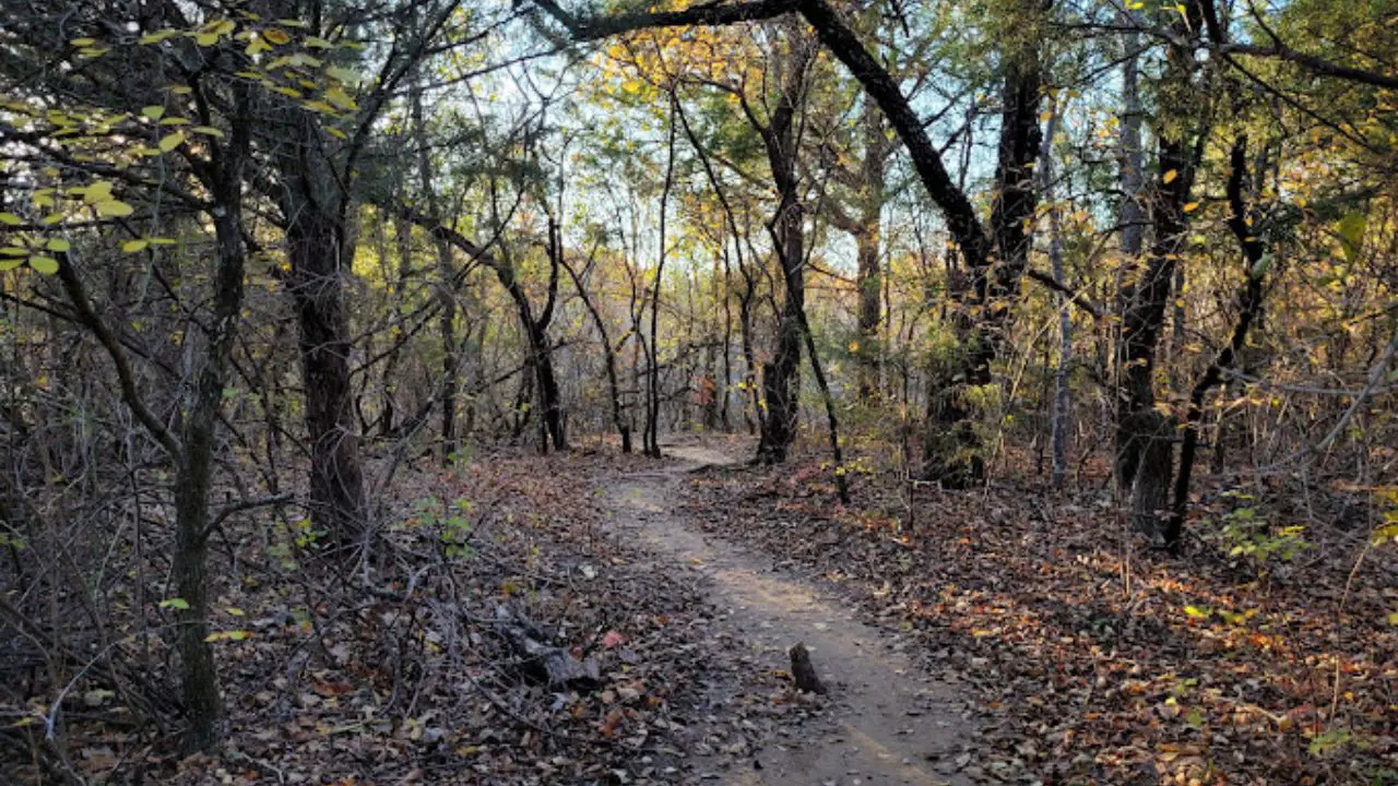 Arbor Hills Nature Preserve Trails Near Dallas Texas