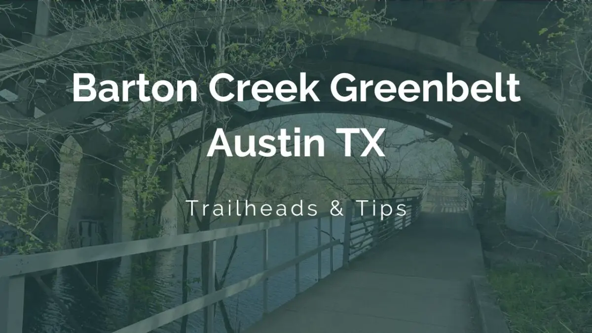 Barton Creek Greenbelt Austin TX Guide Trailheads & Tips