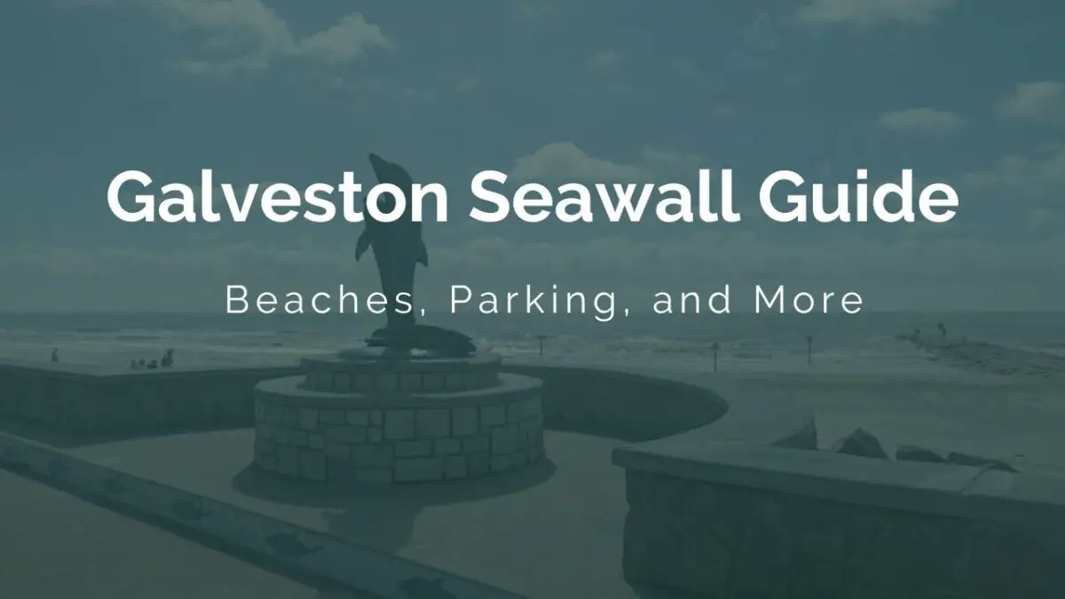 Galveston Seawall Guide Beaches, Parking, and More