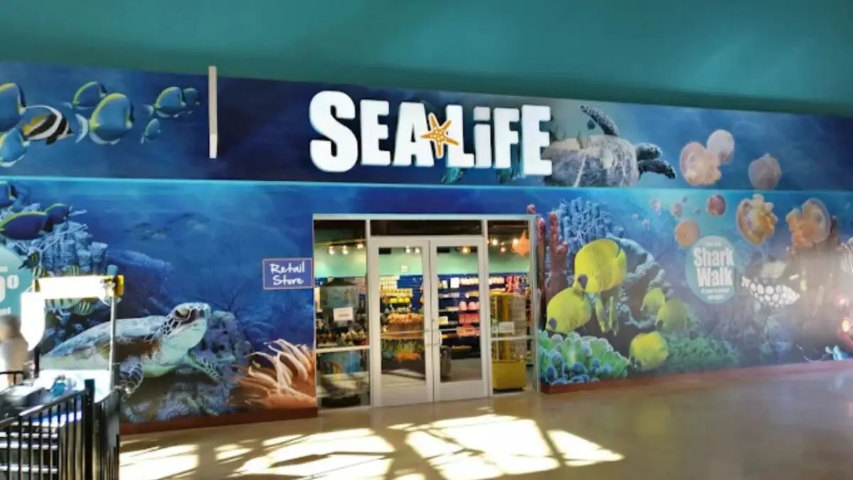 SEA LIFE Grapevine Aquarium