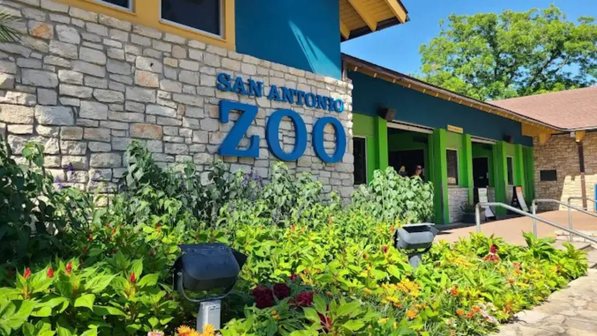 San Antonio Zoo