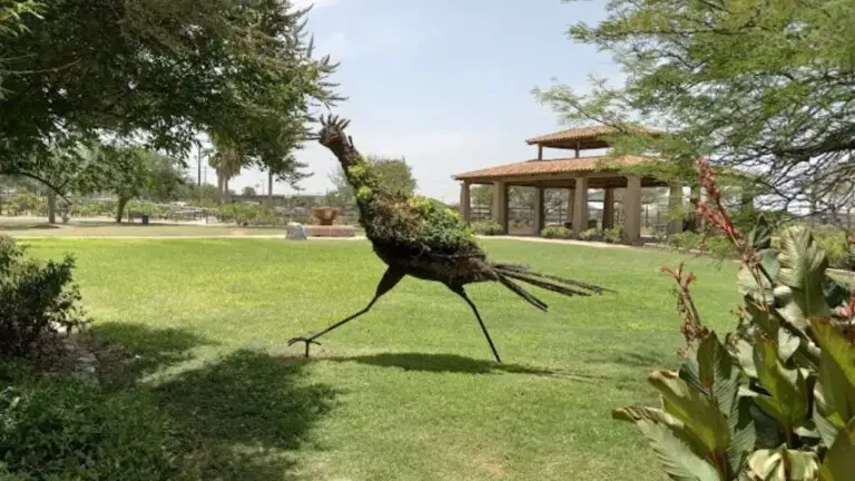 South Texas Botanical Gardens & Nature Center