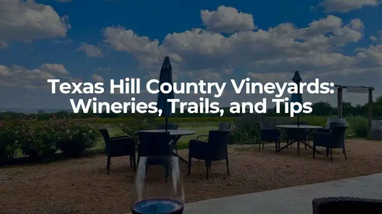 Texas Hill Country Vineyards Wineries, Trails, and Tips