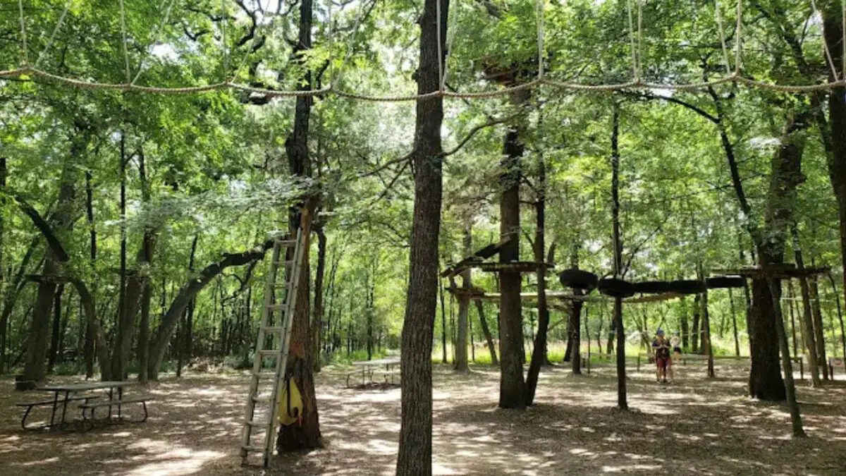 Trinity Forest Adventure Park Dallas TX