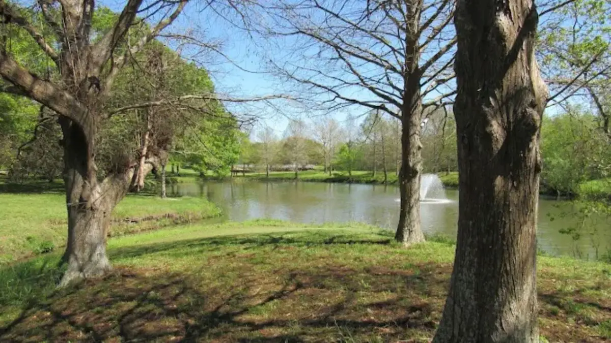 University of Houston Clear Lake - University of Houston-Clear Lake