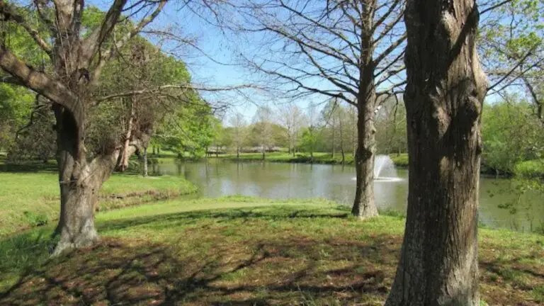 University of Houston Clear Lake - University of Houston-Clear Lake