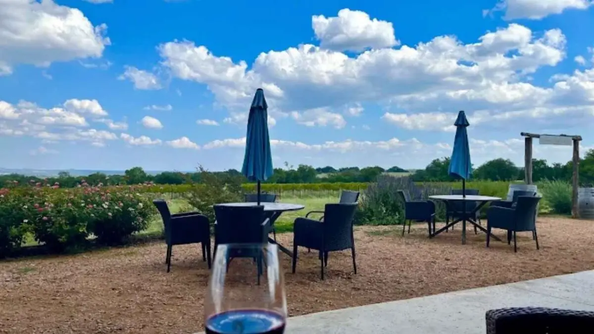 narrow path winery - Texas Hill Country Vineyards