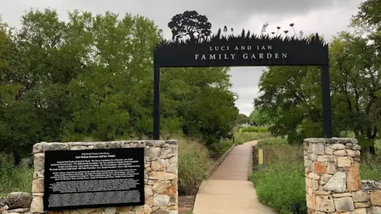 Lady Bird Johnson Wildflower